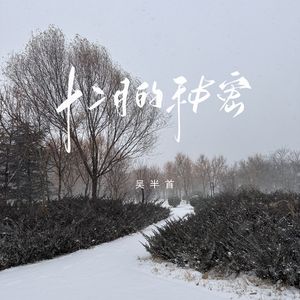 特级无码
